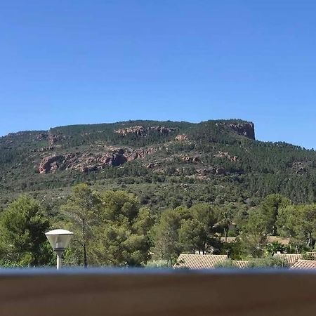 Au Pied Des Gorges Du Blavet Et A 20Min Des Plages Roquebrune-sur-Argens Exterior photo